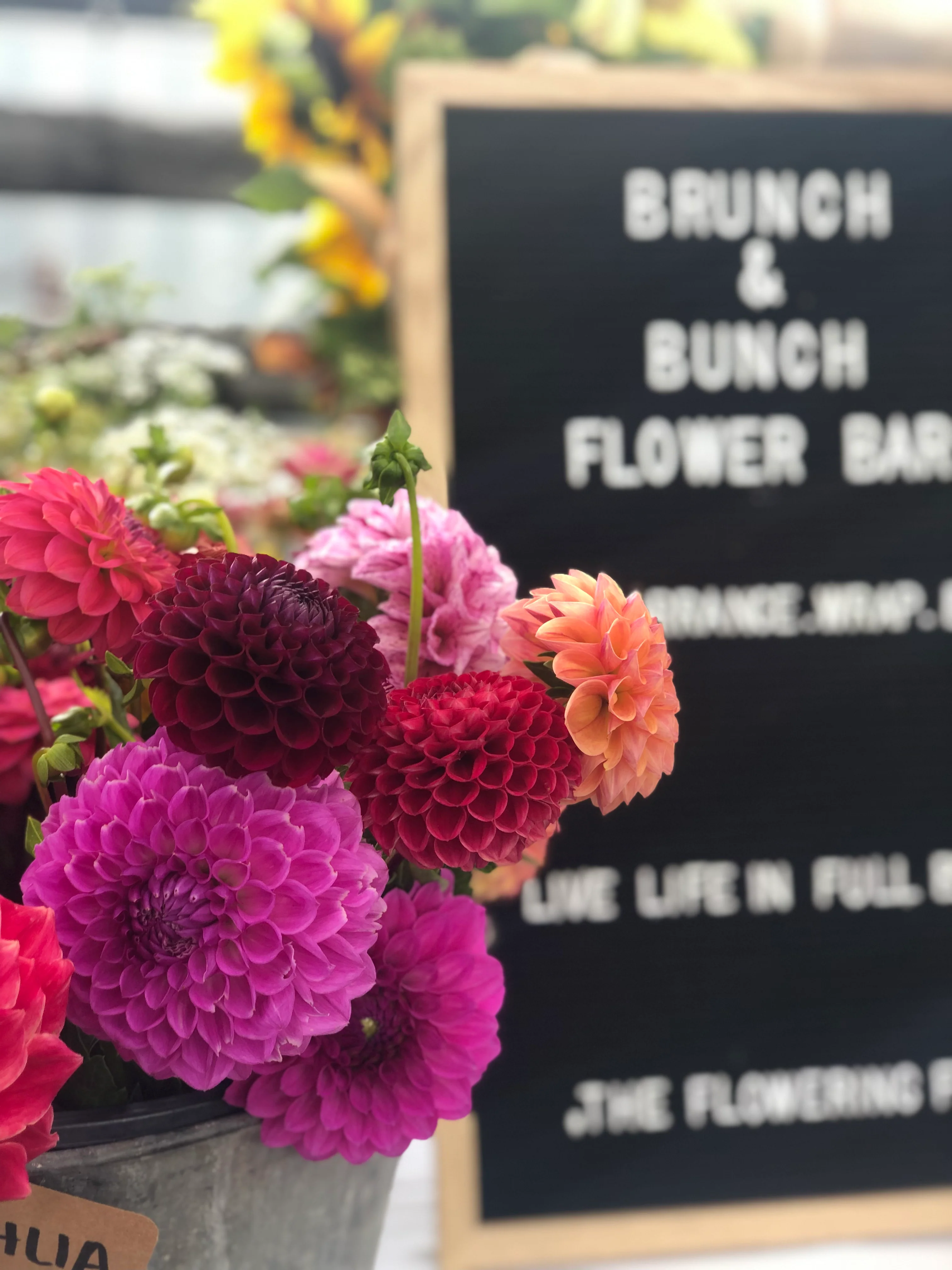 Fresh Flowers